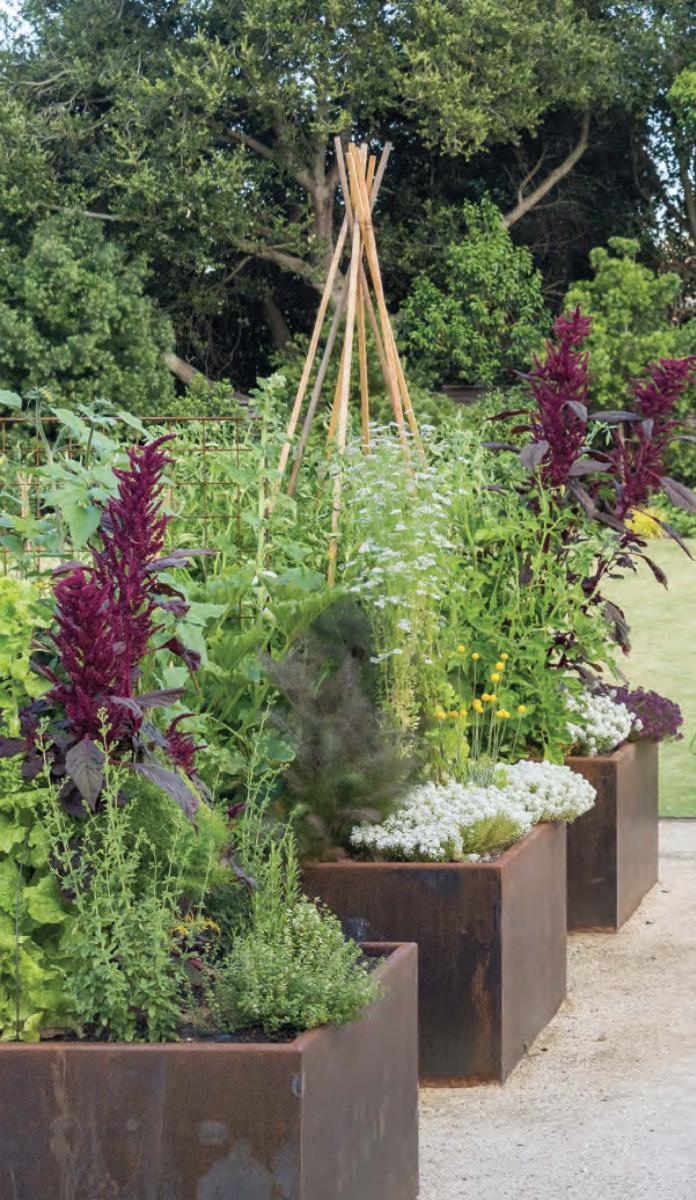gardening+maintenance Lush garden beds and planters with vibrant plants illustrating Penning Landscapes' gardening maintenance services.