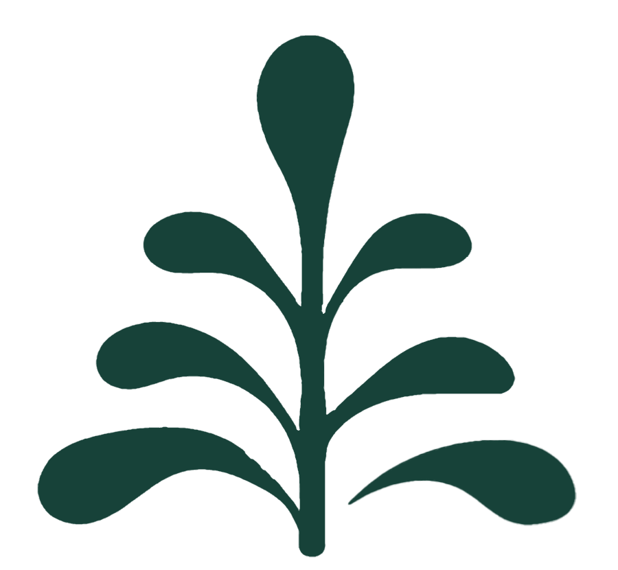Dark green tree graphic for Napa Valley winery landscapes and grounds care.