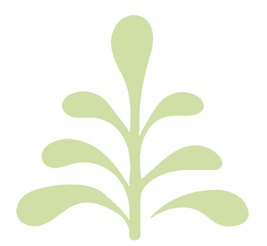 Light green plant graphic illustrating Penning Landscapes' plant health and resilience program.