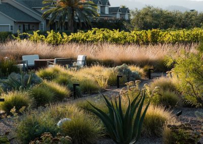 Napa Valley estate garden with seasonal plantings and lush landscape design by Penning Landscapes.