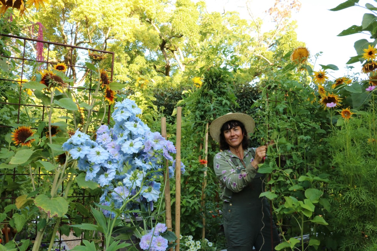 Penning Landscapes kitchen garden with sunflowers and hydrangeas, estate vegetable gardening services.