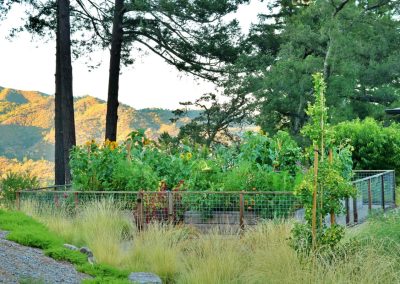 Productive Napa Valley kitchen garden and seasonal planting design.