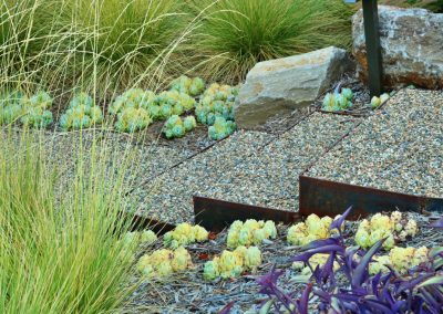 Succulent garden design with seasonal plantings and ornamental grasses for Napa Valley estates.