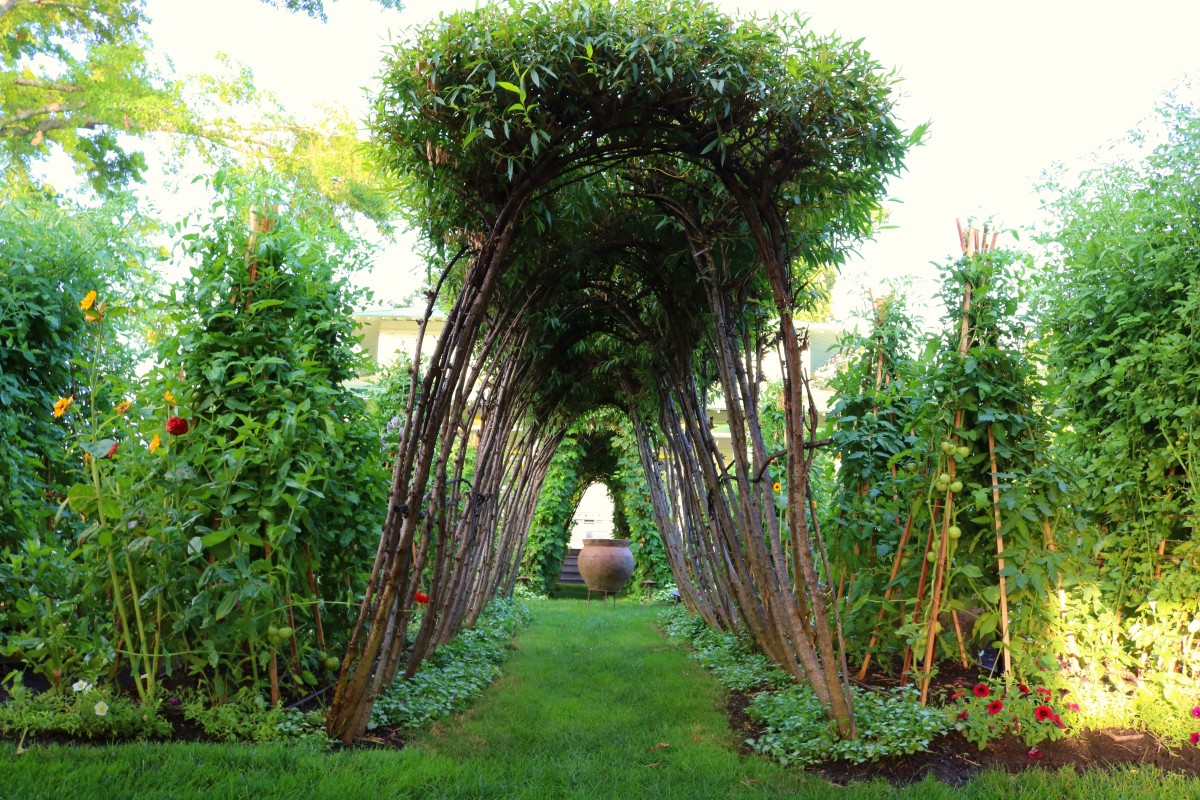 Penning Landscapes: lush, established plantings and a decorative arbor showcasing plant health and resilience.