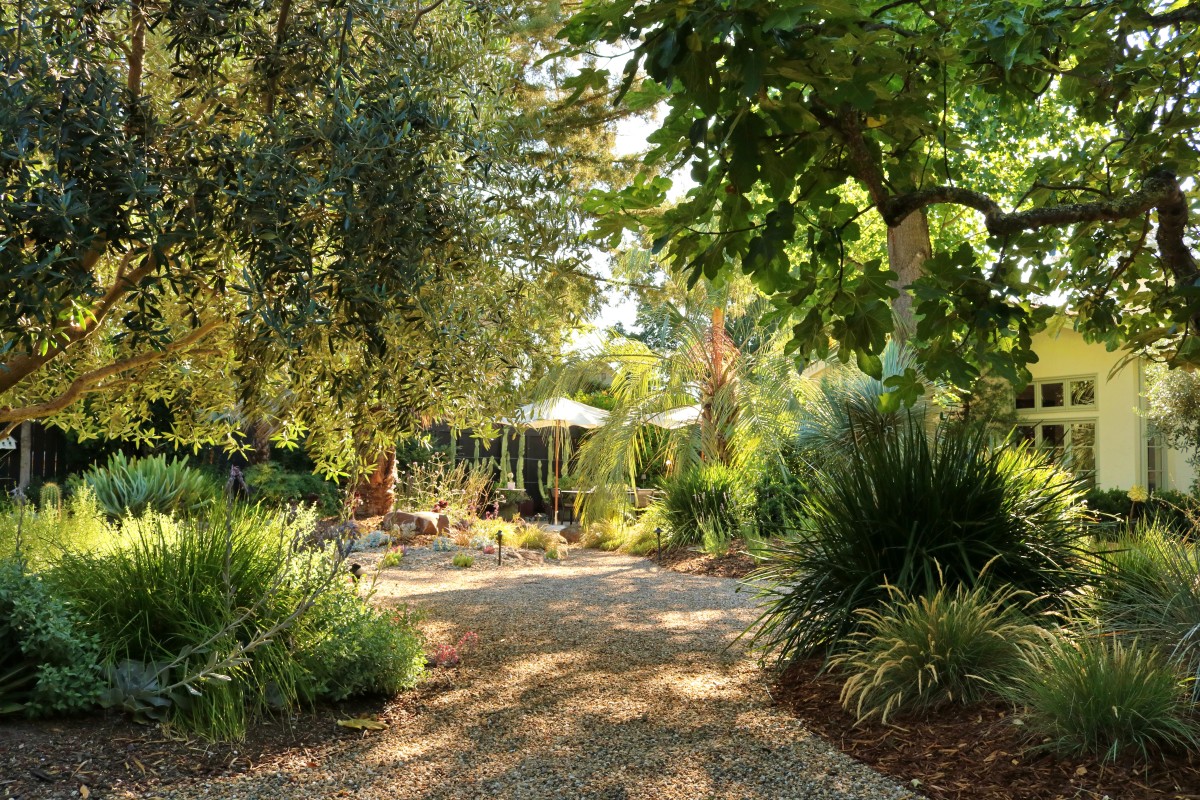 Norwood_05_Trees Lush garden landscape design and lighting by Penning Landscapes, featuring trees, pathways, and architectural integration.