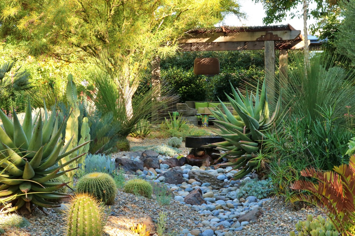 Mayacamas Vineyards landscape featuring fountain and drought-tolerant plantings, Penning Landscapes maintenance award-winning design.