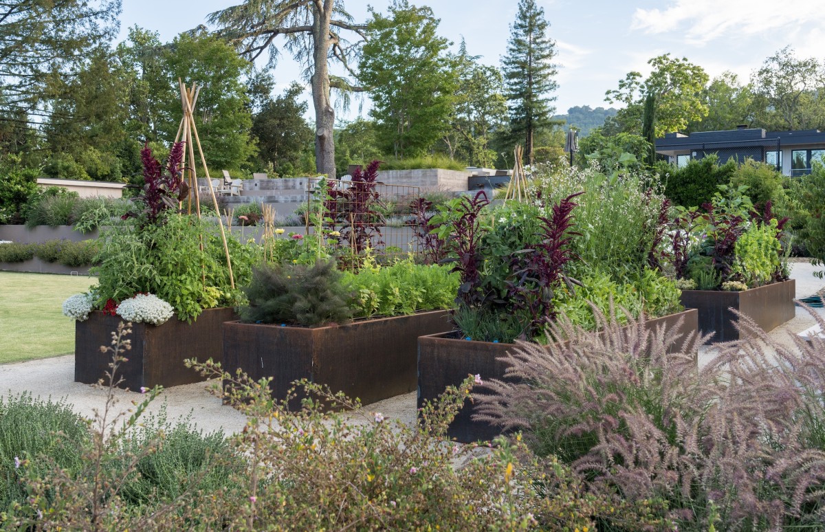 Rhodes_05_Vegetable Garden Raised vegetable garden beds and seasonal plantings in a Napa Valley estate garden.