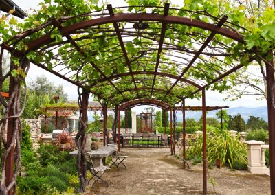 Vegetable garden trellis with climbing plants and Napa Valley landscape