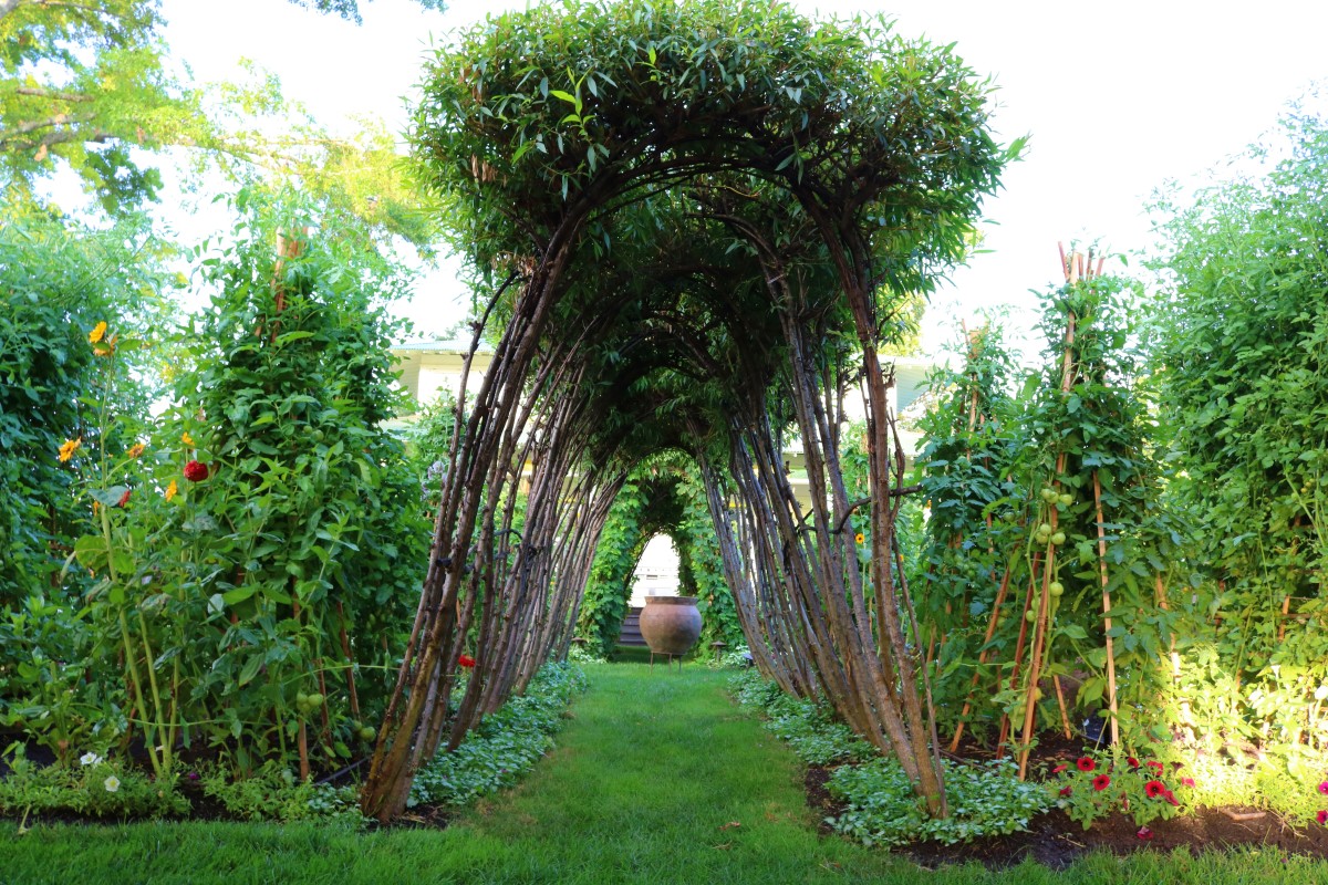 Willow archway in a thriving vegetable garden illustrating Penning Landscapes' maintenance services.