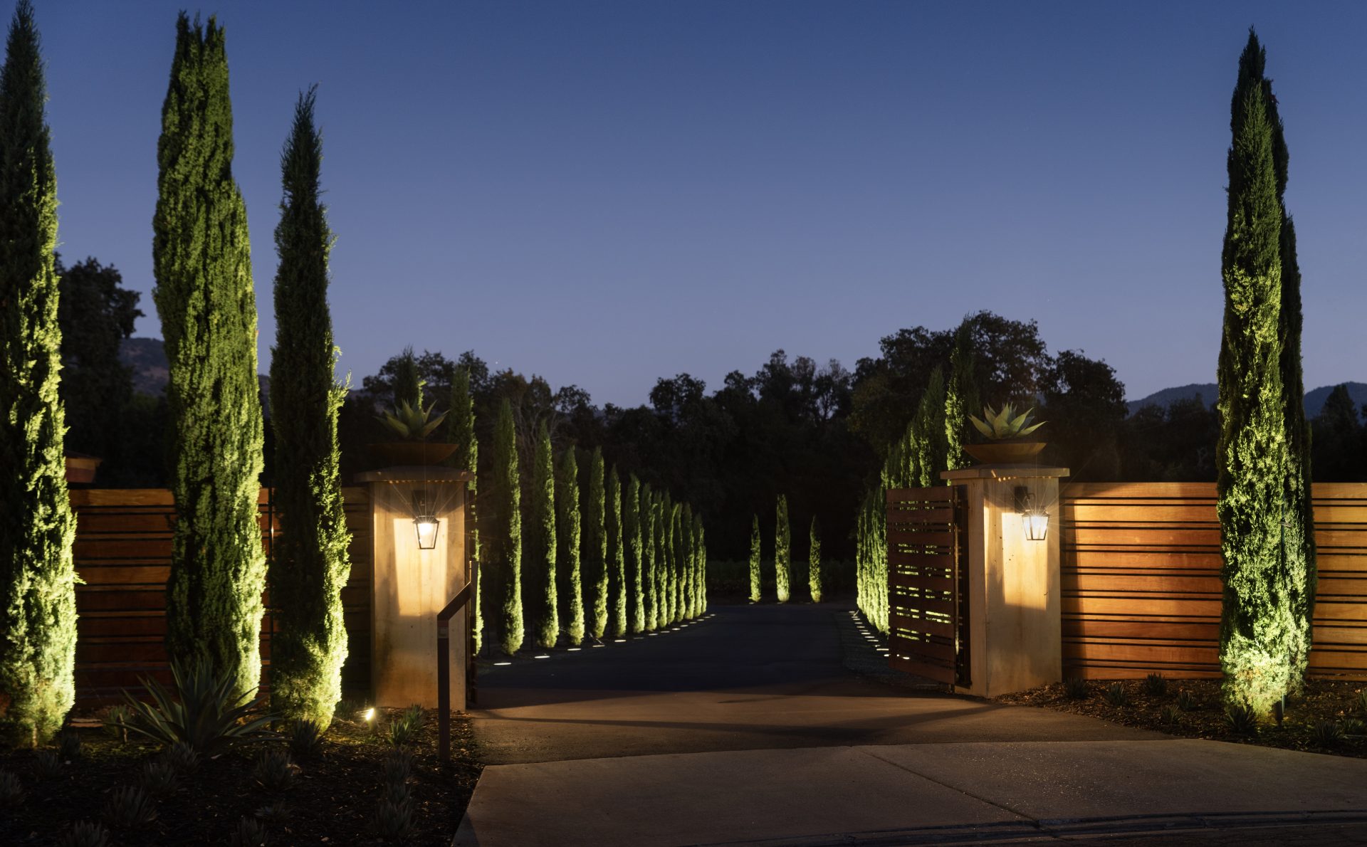 Elegant estate entrance with low-voltage LED landscape lighting and cypress trees.