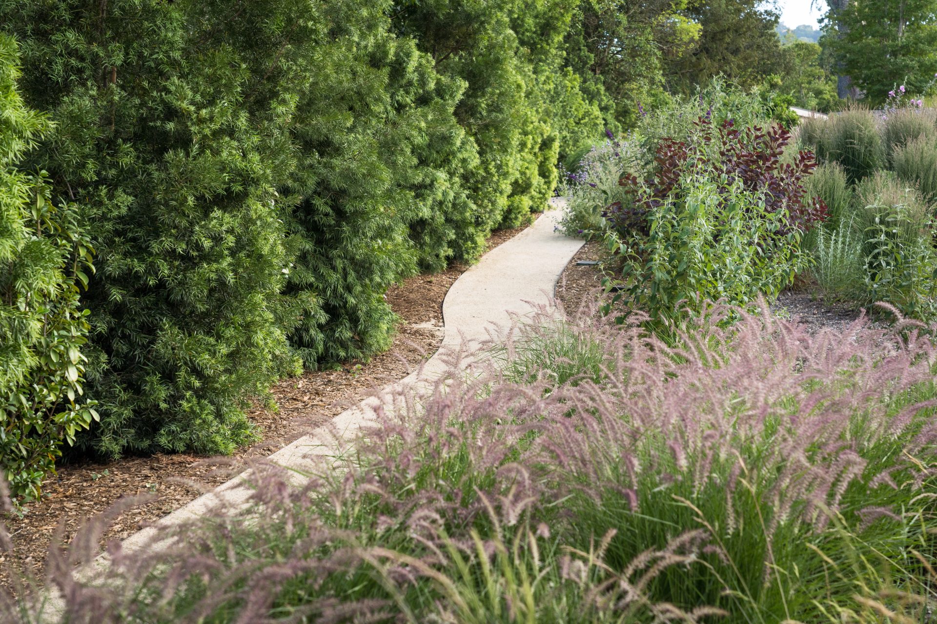 Penning Landscapes: Napa Valley estate garden with seasonal plantings and winding pathway.
